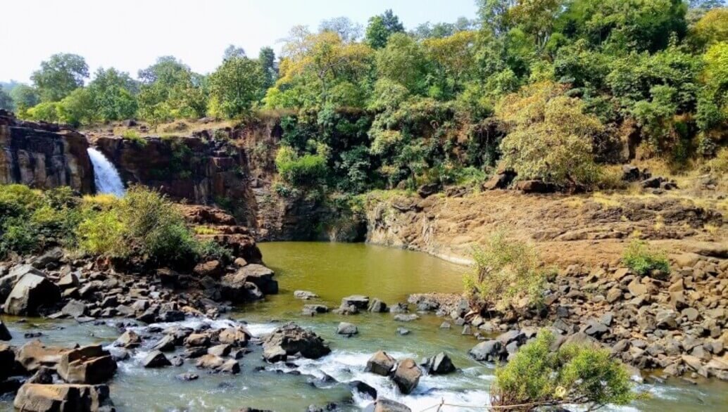 Vansda National Park in surat