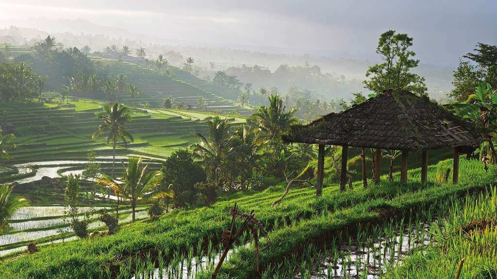 best time to visit bali in Rainy season