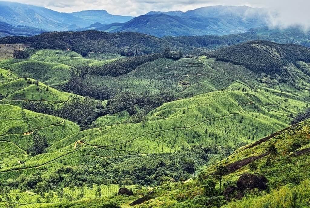 Pothenmedu Viewpoint: Picnic Spot in Munnar