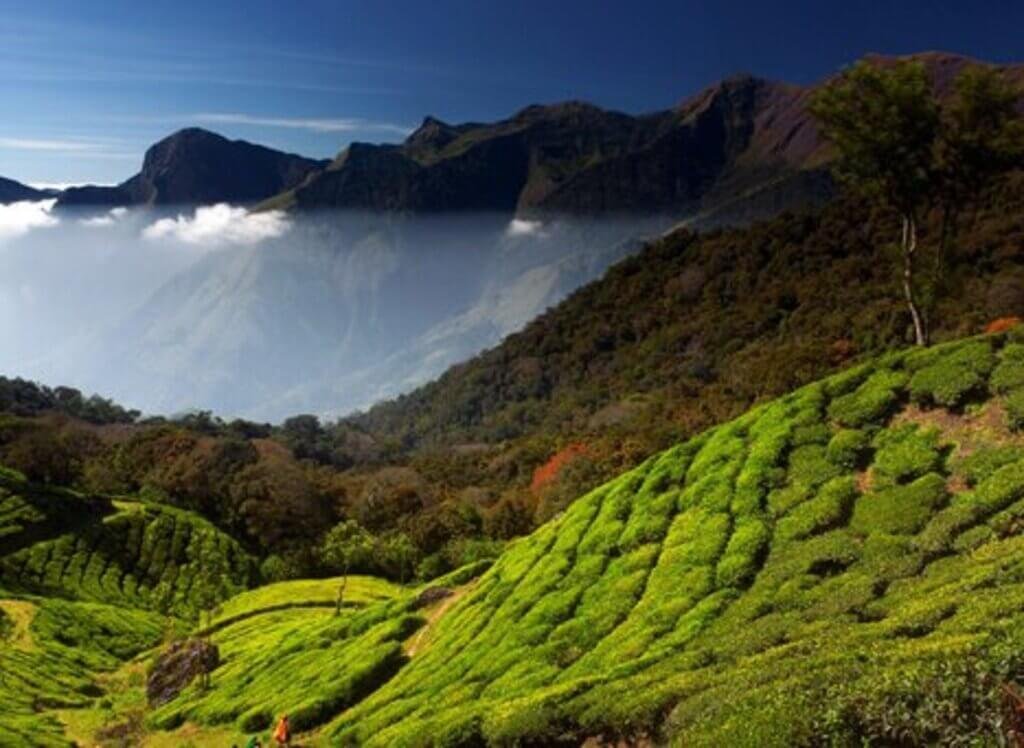 Anamudi: Highest Peak in the Western Ghats