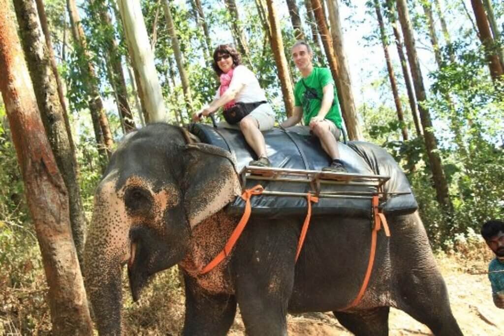 Carmelagiri Elephant Park: Elephant Safari in Munnar