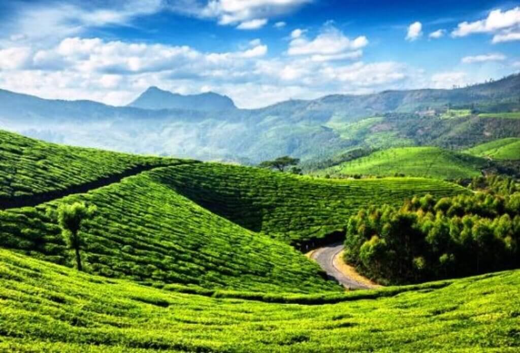 Kannan Devan Hills: 20 Km From Munnar