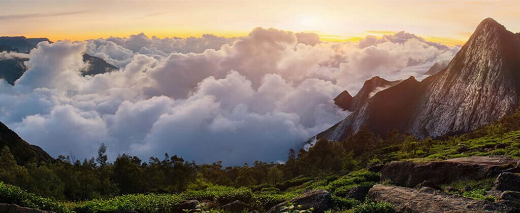 Top Station: Sky Touching Point in Munnar