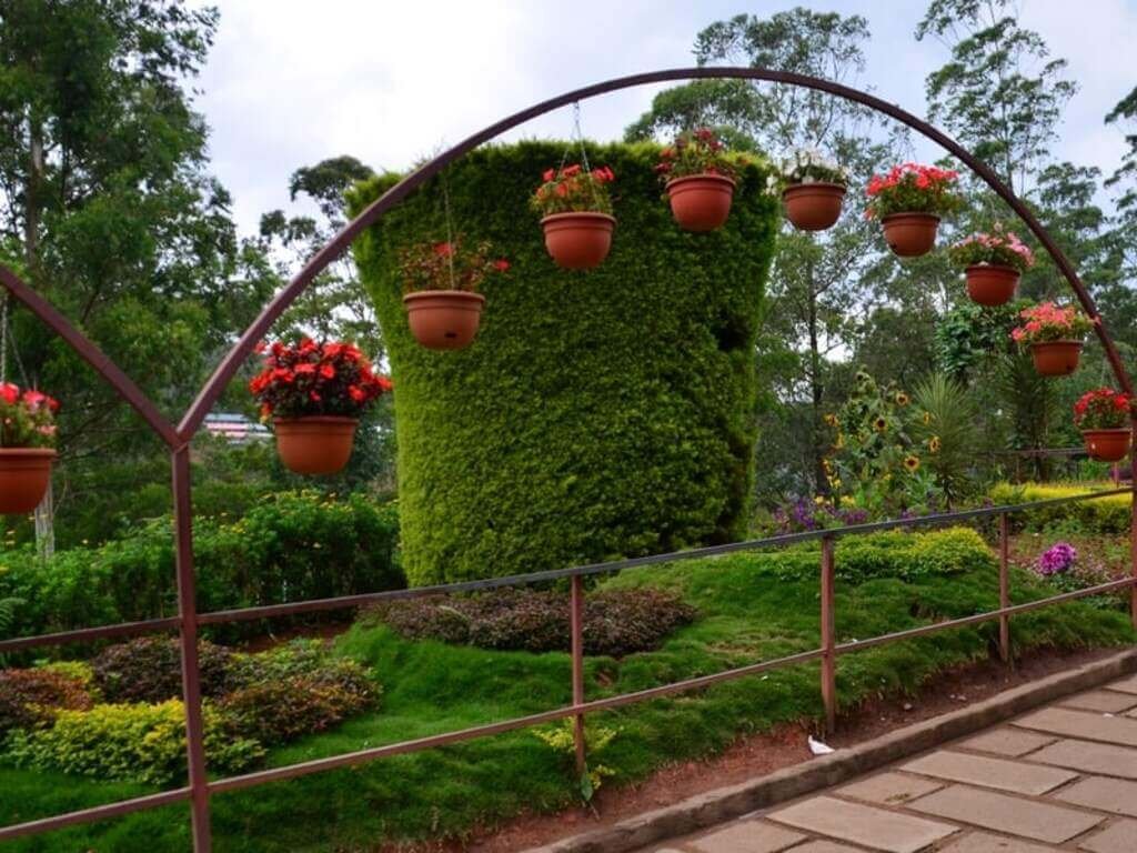 Rose Garden: Best Place For Flower Lovers in Munnar